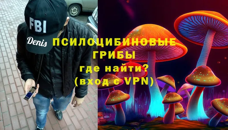 MEGA как зайти  Будённовск  Галлюциногенные грибы Psilocybine cubensis 